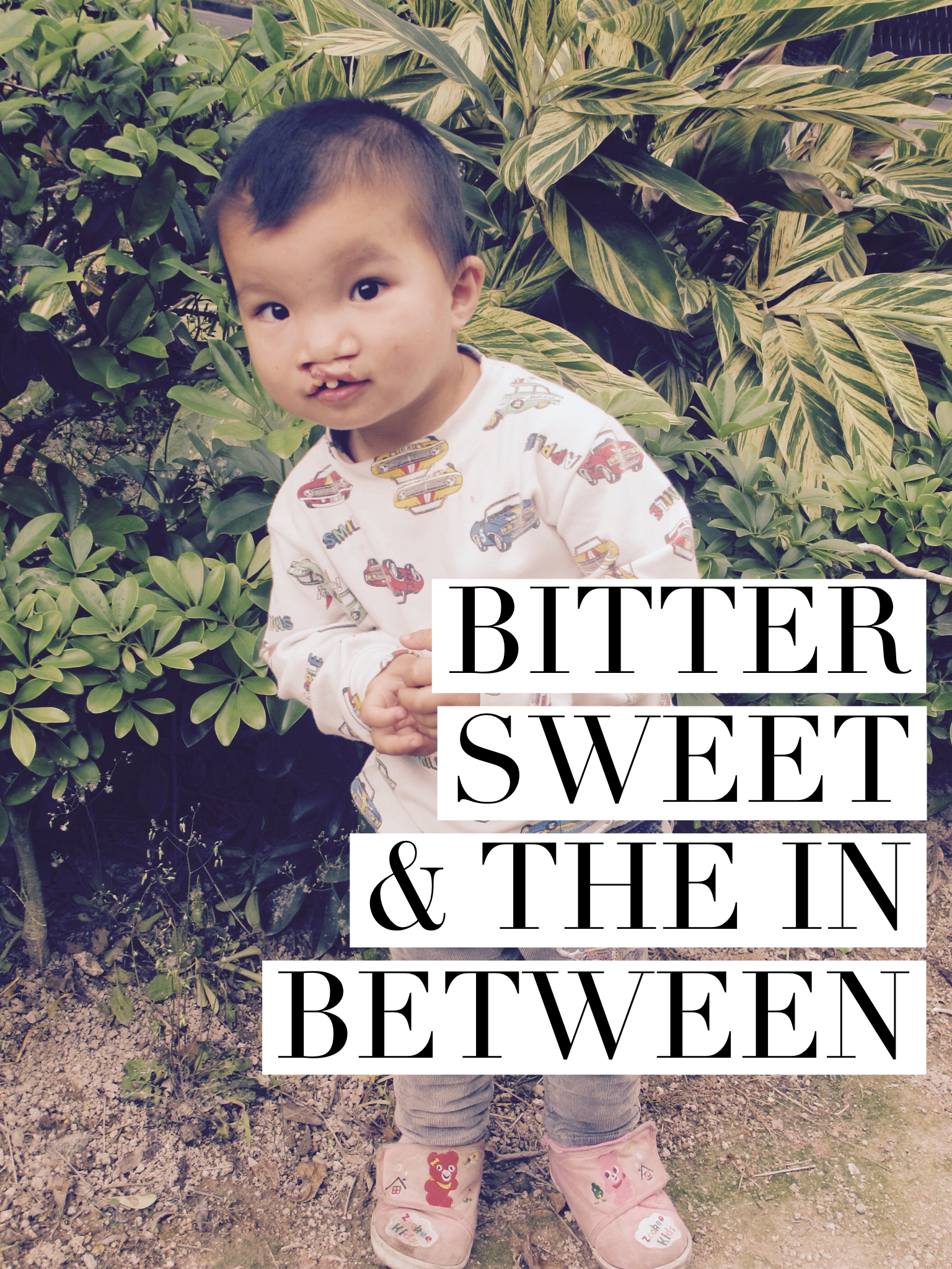 Bitter Sweet & The In Between